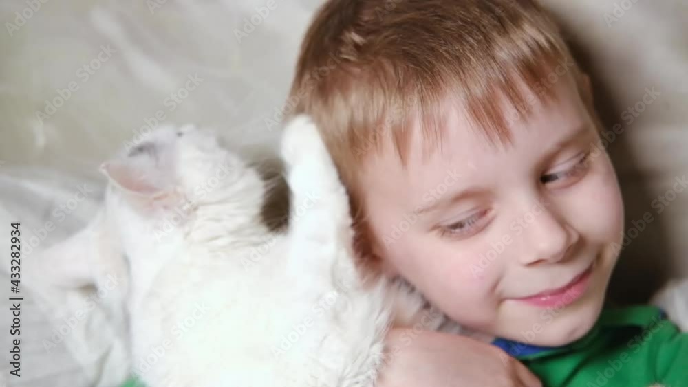 Young boy playing with a white cat at home. Pet, cat-child relationship. Young boy playing with a white cat at home. Pet, cat-child relationship.