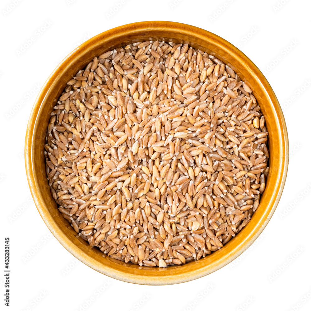 whole Emmer farro hulled wheat in bowl cutout StockFoto Adobe Stock