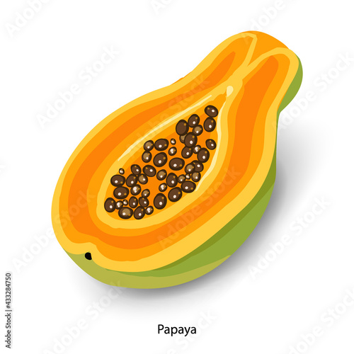 Sliced papaya cartoon vector illustration. Organic food, sweet dessert, ripe tropical fruit. Half papaya with seeds, exotic salad ingredient isolated on white background