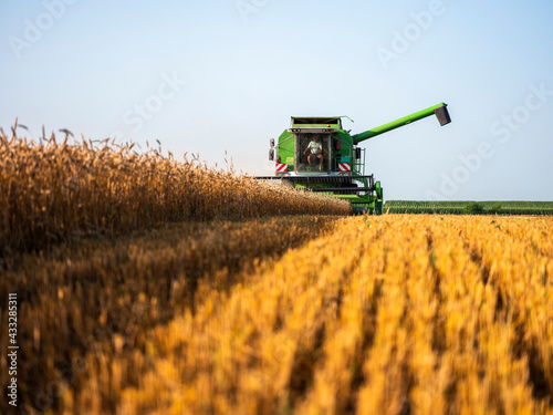 Combine harvesting field of wheat photo