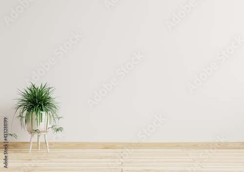 Fényképezés Empty room white walls with beautiful plants sideways on the floor