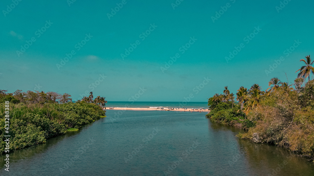 Obraz premium river in the forest