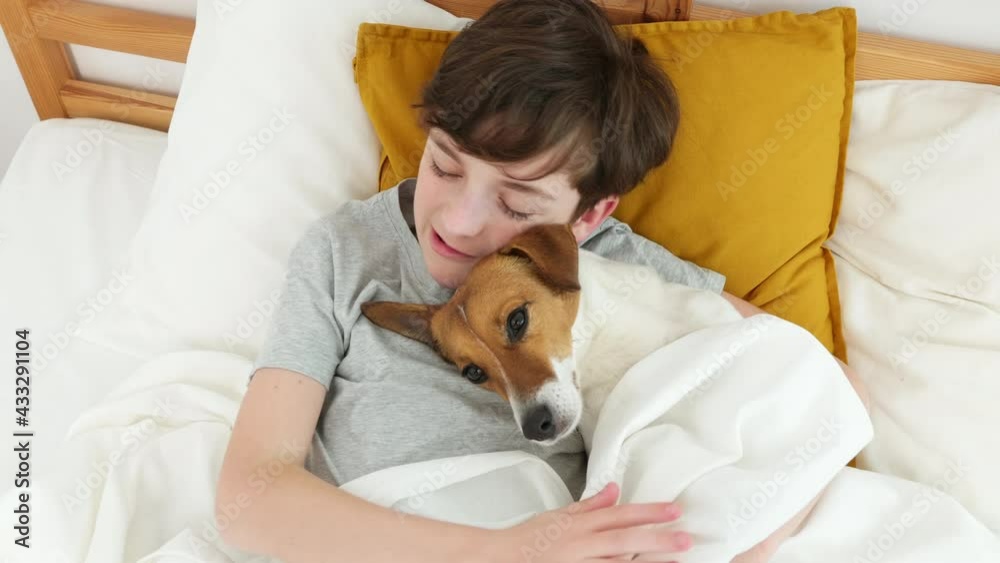 Happy boy hugs dog Jack Russell Terrier smiling in love is lying in bed on white blanket morning. Child dog plays emotionally. Childhood. Pets. Care attention love for pets. Top view. Family concept Happy boy hugs dog Jack Russell Terrier smiling in love is lying in bed on white blanket morning. Child dog plays emotionally. Childhood. Pets. Care attention love for pets. Top view. Family concept