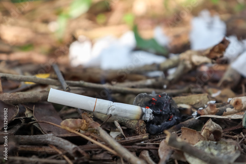 Wallpaper Mural Cigarettes are fire Torontodigital.ca