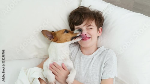 Happy boy hugs dog tongue licks face male Jack Russell Terrier smiling is lying in bed on white blanket morning. Child dog plays emotionally. Childhood. Pets. Care attention love for pets. Top view