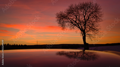 Cudowne drzewo o przepięknym zachodzie słońca. © Szczepan Buśko