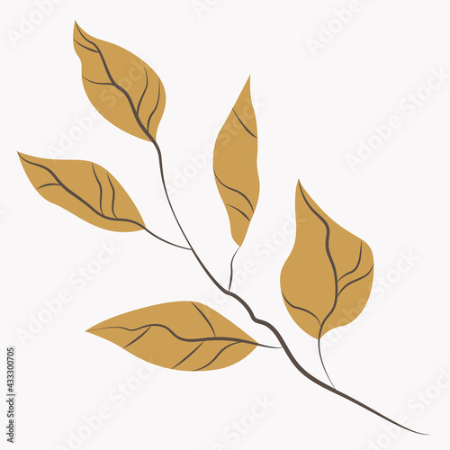 Botanical illustration. Image of a branch with leaves on a light  background. Icon or logo for conservation, eco-friendly, natural concept.