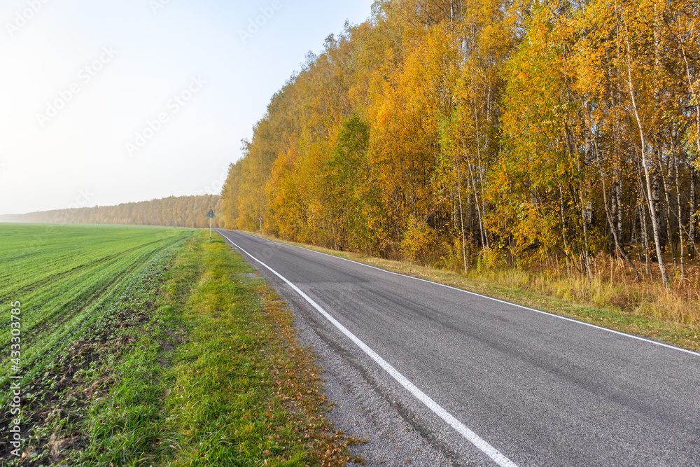 country road in autumn between a cereal field and a birch grove country road in autumn between a cereal field and a birch grove