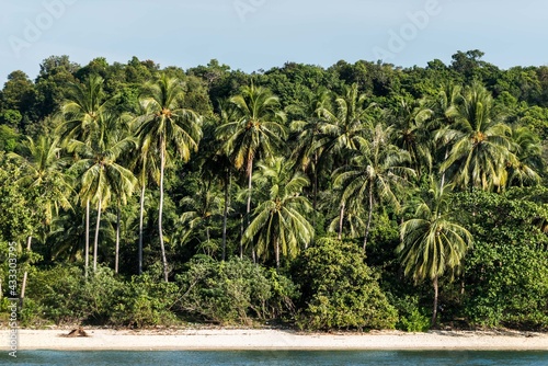 Weißer Sandstrand in Thailand mit grünen Palmen und Bäumen im Hintergrund und Wasser im Vordergrund.