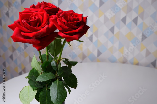 Red rose on the table