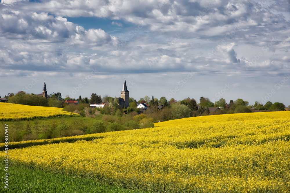 view to ratingen homberg over rapeseed field at spring and cloudy blue sky