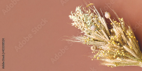 Creative layout from dried flowers and natural dry cereals on beige background. Savior of the Honey Feast Day or Healing colors of nature. Close-up photo