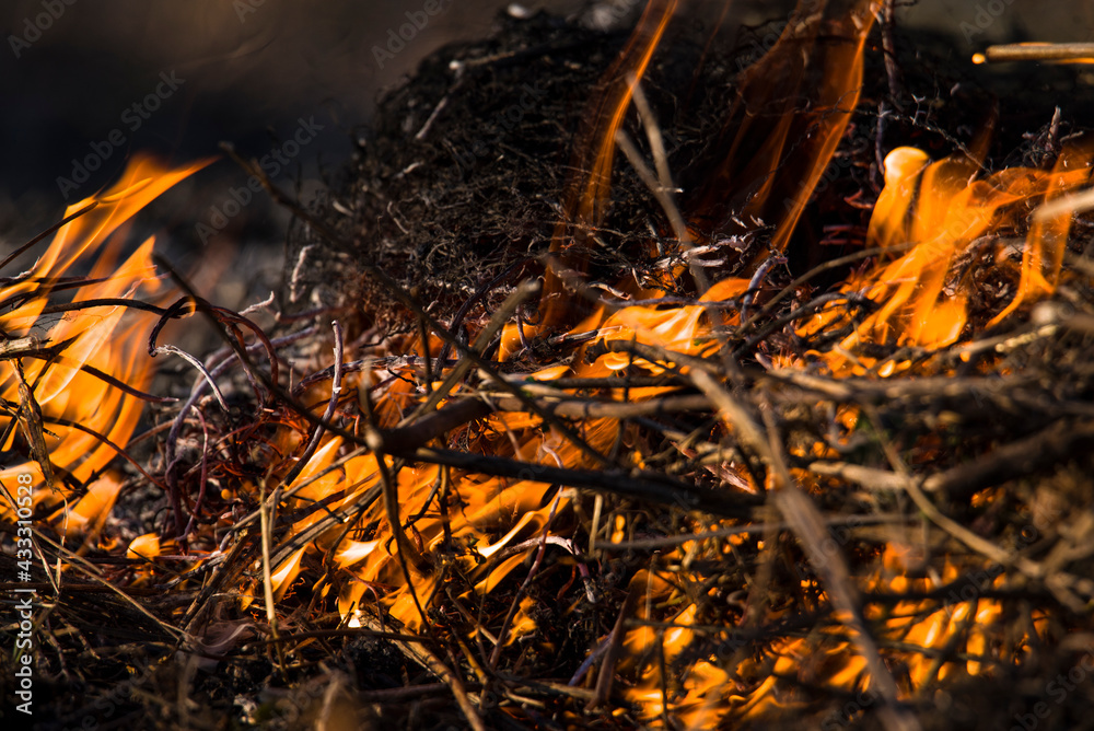 dangerous burning of old grass and foliage in the field dangerous burning of old grass and foliage in the field
