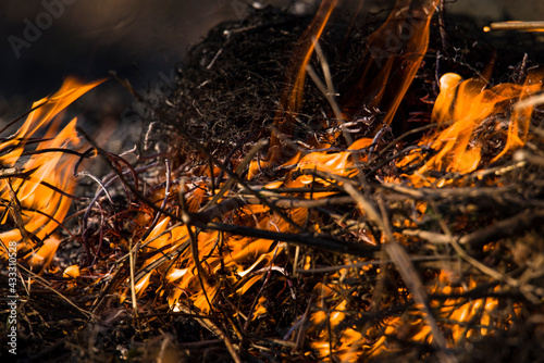 dangerous burning of old grass and foliage in the field