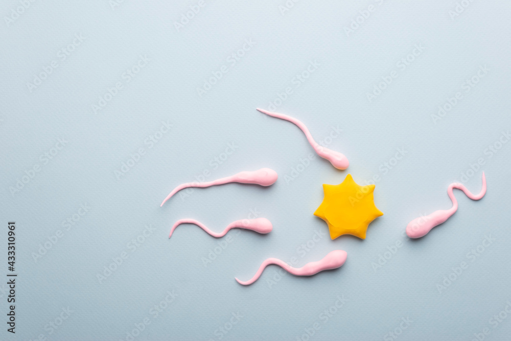 Fototapeta premium fertilization concept ovum sperm cells on a blue background. medical illustration on the topic of fertility, fertilization