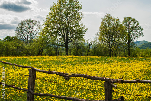 Countryside landscape with rural wooden fence closeup