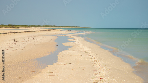 Bilde på lerret el palmar