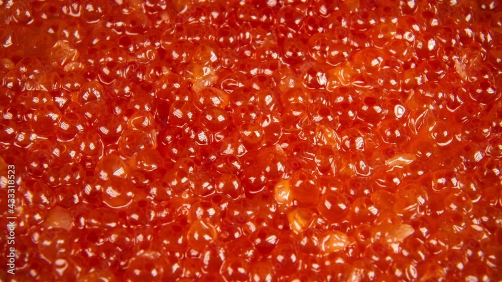 Red caviar background close up rotation, 4K Red caviar background close up rotation, 4K