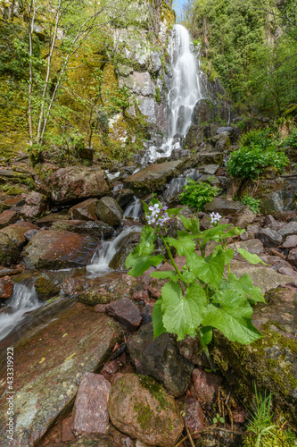 Fototapeta Naklejka Na Ścianę i Meble -  Waterfall in a mountain forest in early spring.