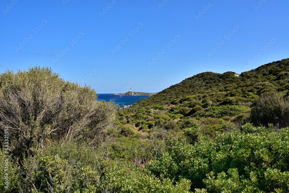 Typical landscape with evergreen maquis and pure lazur coast on the Spanish Tower and the beach Mare Pintau in Sardinia, Italy.