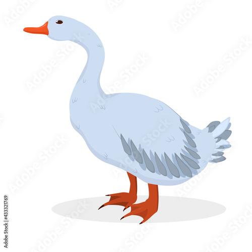 vector illustration of a gray goose isolated on a white background
