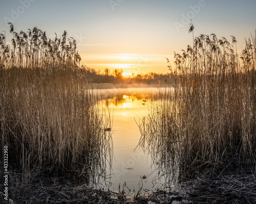 The sun rises between the reeds in a Wigan Flash local lake