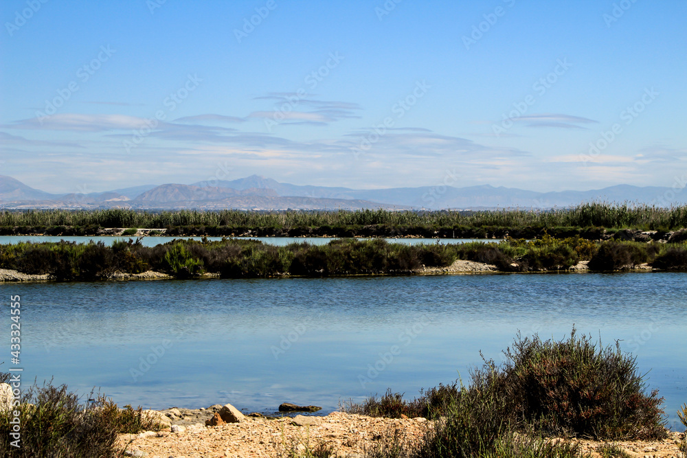 Beautiful landscape of the Wetlands of Santa Pola