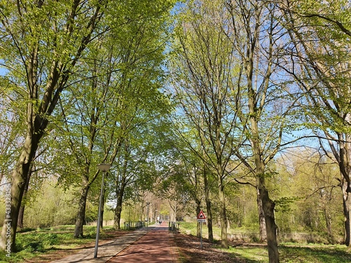 alley in the park