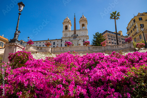 Front panorama of the Spanish Steps, Trinit dei Monti with the church and the obelisk, Rome. In spring with the explosion of pink and white azaleas all along the scale. Italy. 