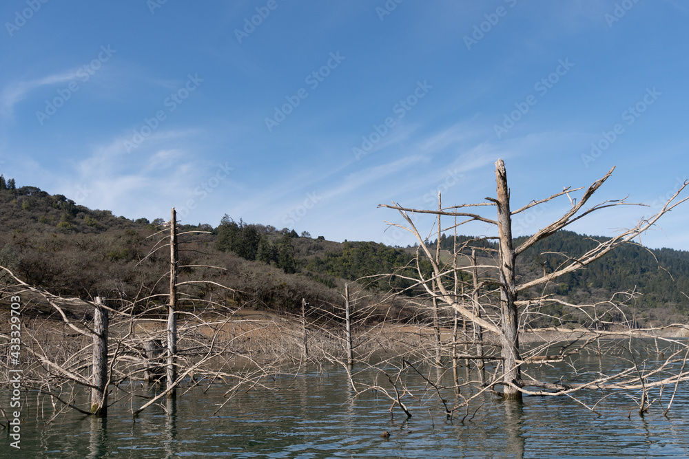 May, Lake Sonoma, CA. Gov. Newsom has declared a Drought Emergency in 41 counties in California. Lake Sonoma water level is at 60% of normal and supplies water to cities in Sonoma and Marin Counties. May, Lake Sonoma, CA. Gov. Newsom has declared a Drought Emergency in 41 counties in California. Lake Sonoma water level is at 60% of normal and supplies water to cities in Sonoma and Marin Counties.