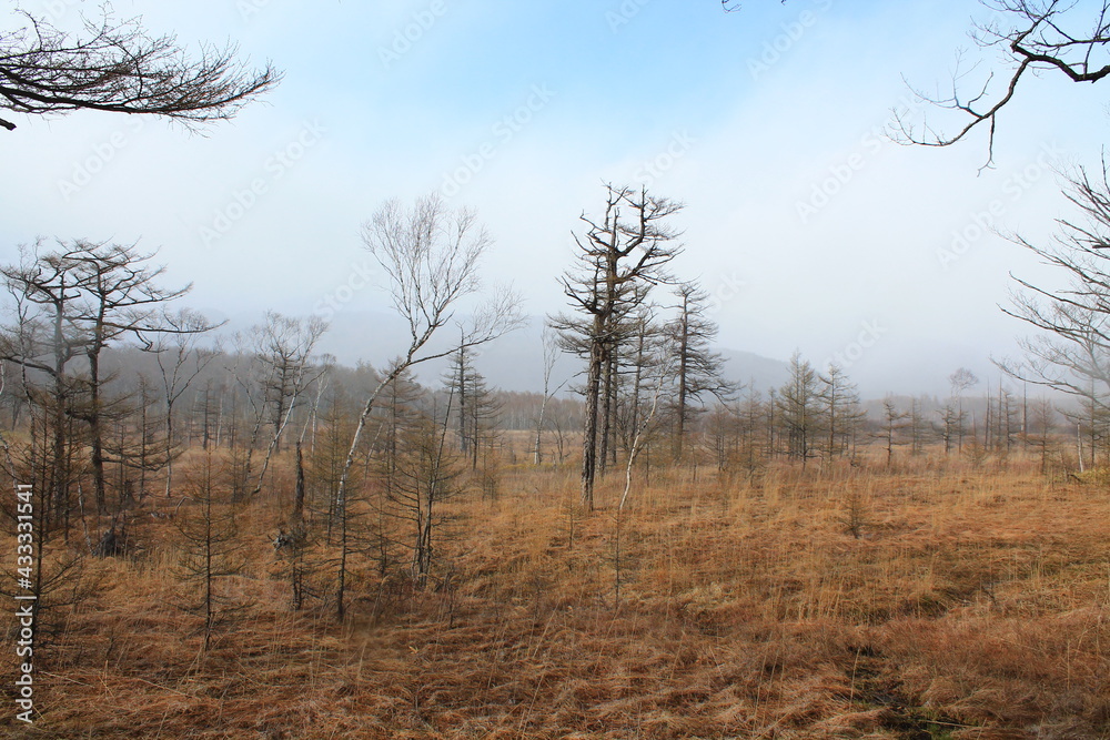 Nikkō-Nationalpark (日光国立公園 Nikkō Kokuritsu Kōen) during October | Typical landscape