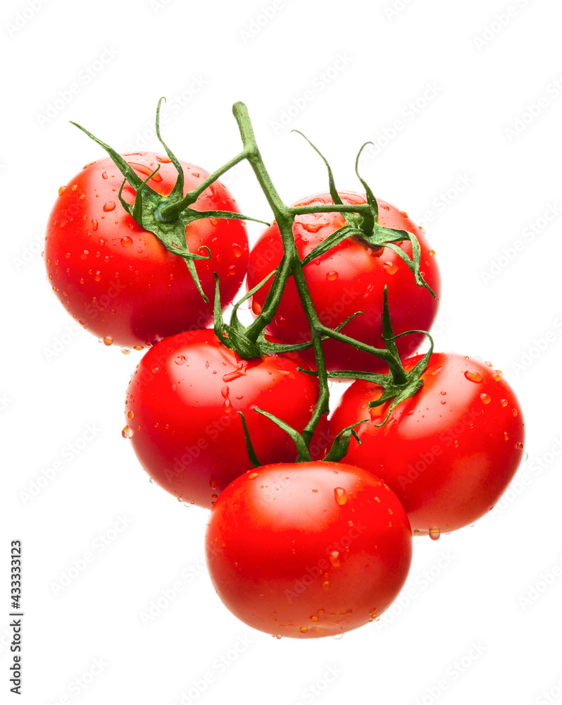 Red tomatoes on a branch with drops of water on a white background isolate Red tomatoes on a branch with drops of water on a white background isolate