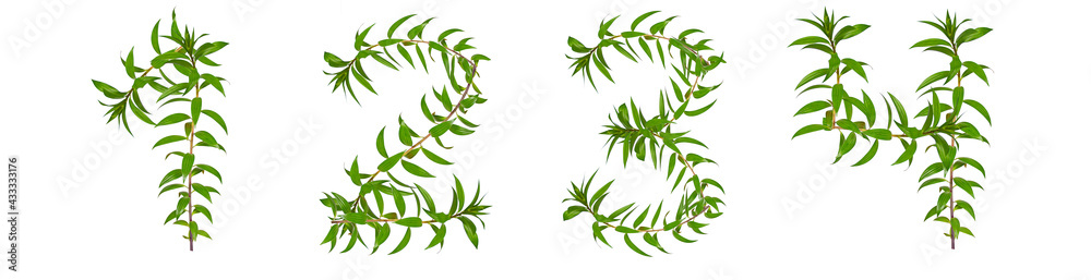 Naklejka premium Numbers 1, 2, 3, 4 made of green plants