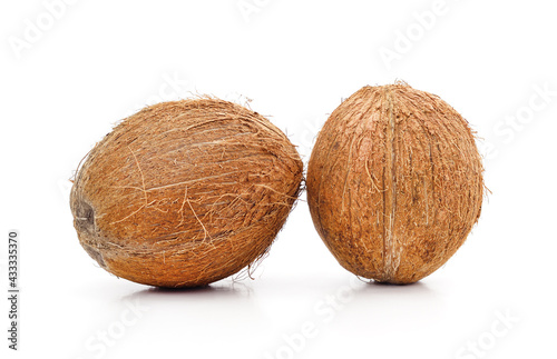 Two ripe coconuts.
