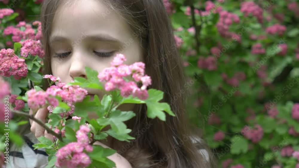 Portrait of a little beautiful girl in the flowers of a blossoming spring tree. Portrait of a little beautiful girl in the flowers of a blossoming spring tree.