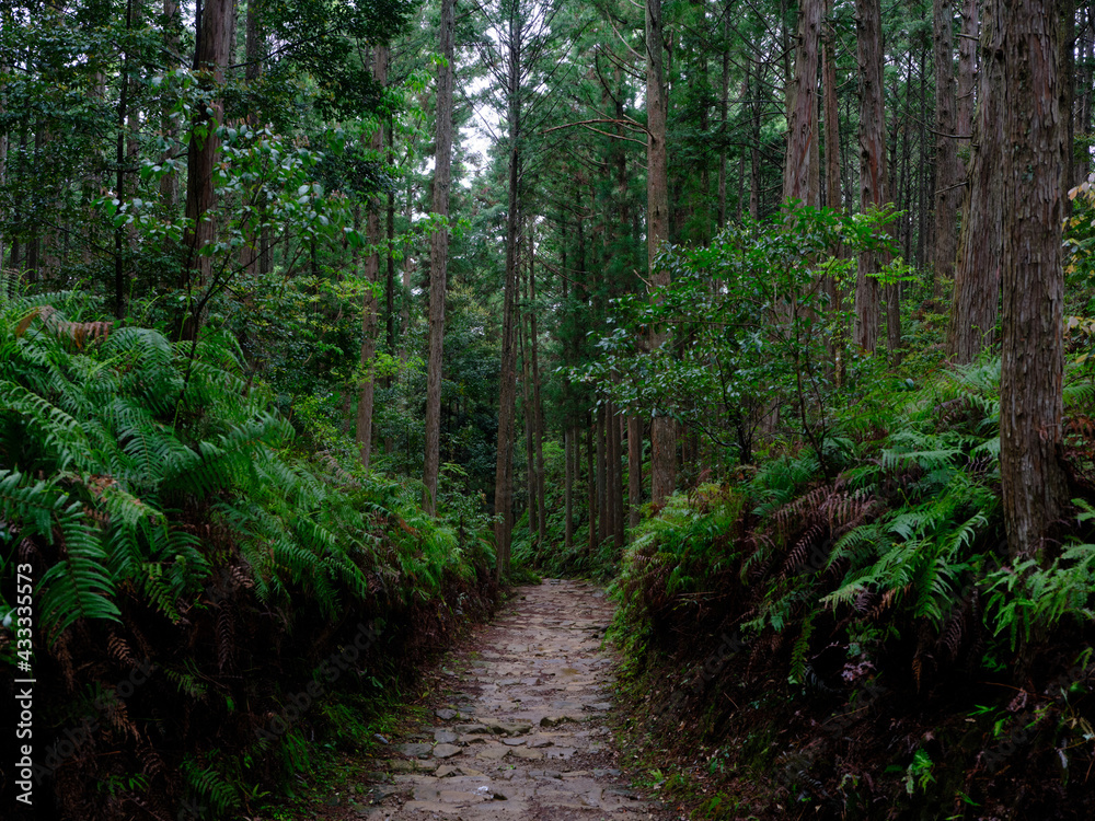 熊野古道 熊野古道
