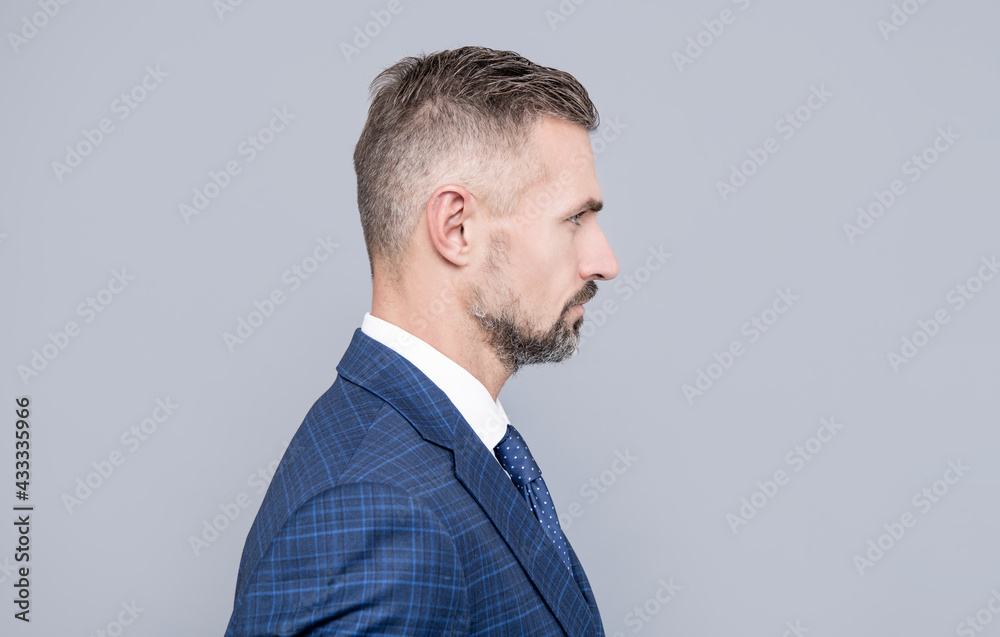 mature boss in profile. confident businessman. mature businessperson in formalwear. mature boss in profile. confident businessman. mature businessperson in formalwear.