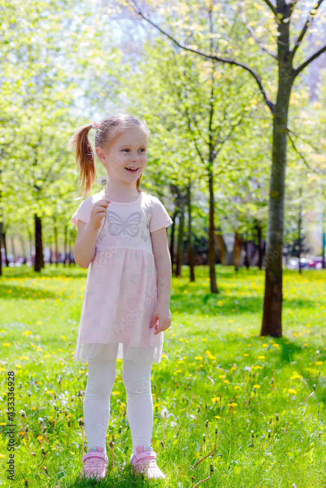 a little girl blows away dandelions on a summer day in the park. A girl in a pink dress with two ponytails on her head a little girl blows away dandelions on a summer day in the park. A girl in a pink dress with two ponytails on her head
