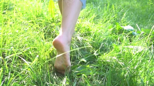 Slow Motion Barefoot slender legs of young woman walking in tall grass at summer