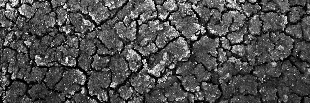 Dried Cracked Wide Texture Background. Dry Earth .Soil Ground Grunge Abstract Texture. Close up Of Crack Soil Top View Web Banner. Cracked Earth Soil Black Arid Background Dried Cracked Wide Texture Background. Dry Earth .Soil Ground Grunge Abstract Texture. Close up Of Crack Soil Top View Web Banner. Cracked Earth Soil Black Arid Background