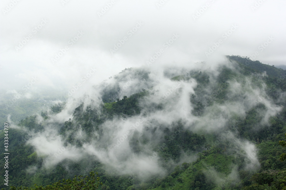 fog in the mountains fog in the mountains