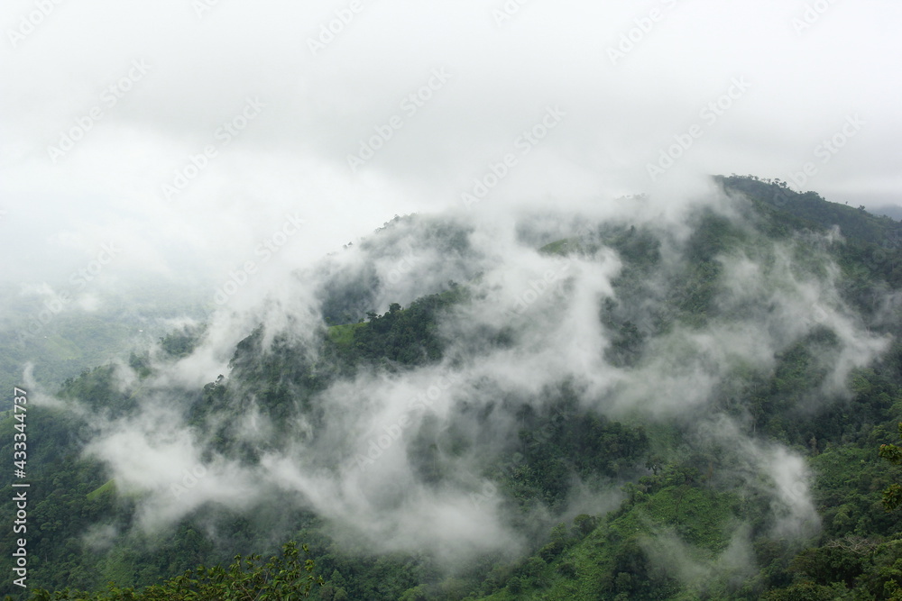 fog in the mountains