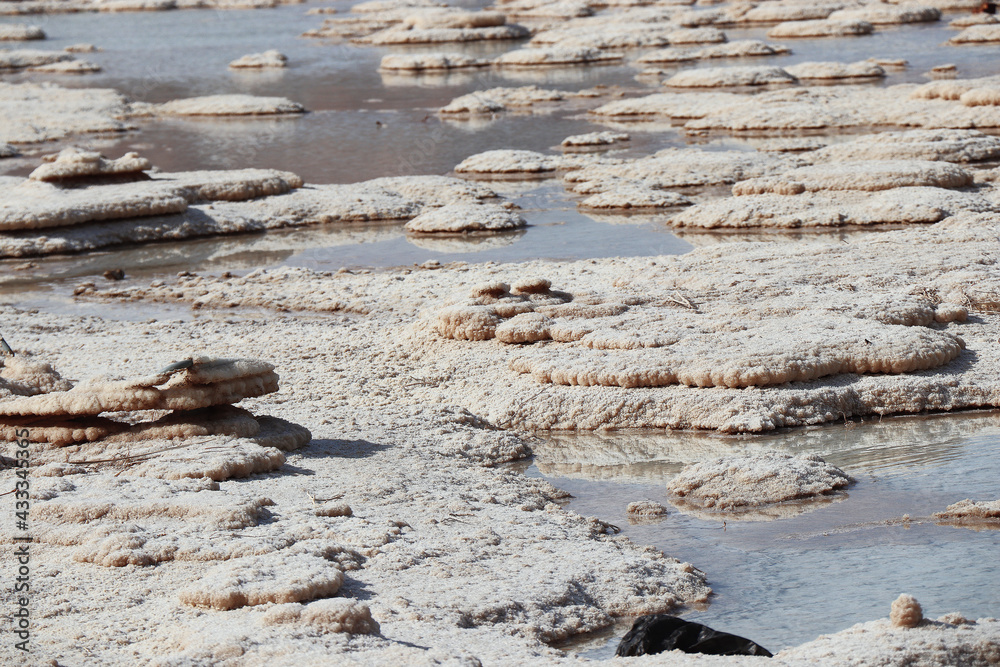 dead sea desert salt nature photo dead sea desert salt nature photo