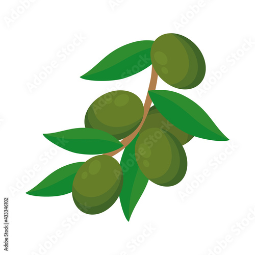 branch with olives