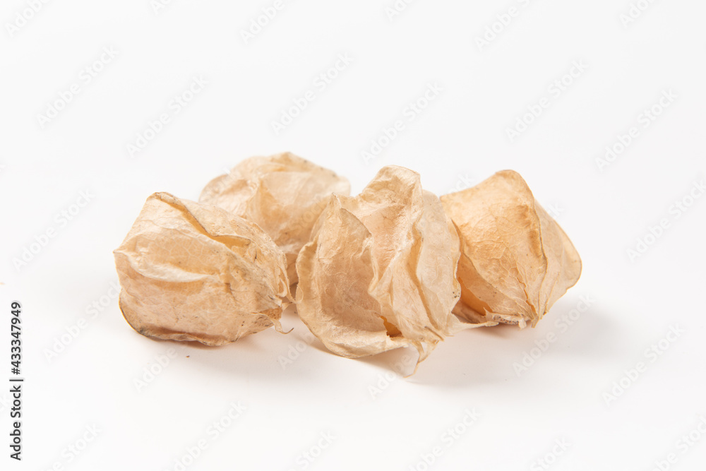 Cape Gooseberry isolated on white background. Cape Gooseberry isolated on white background.
