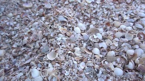 Slow Motion Close up of beach sand with lots of sea shells.
