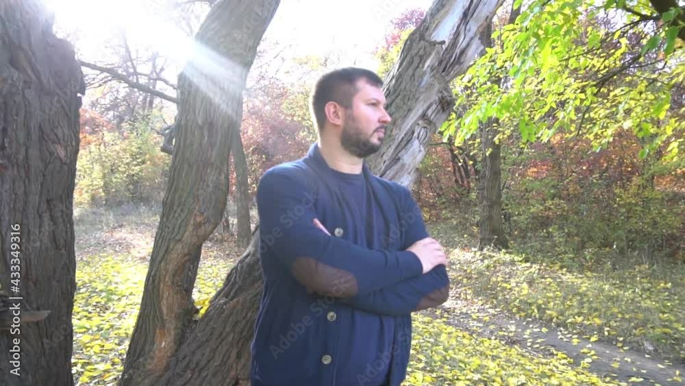 Slow Motion Portrait of relaxing man on tree enjoying golden autumn fall season Slow Motion Portrait of relaxing man on tree enjoying golden autumn fall season
