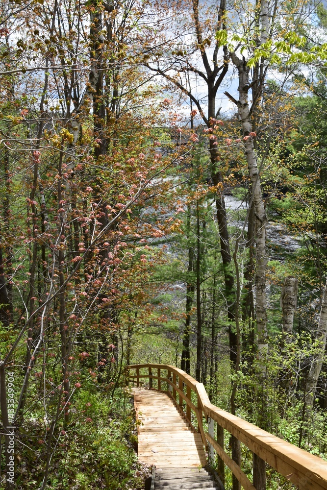 Fototapeta premium Maddington falls in southern Quebec 