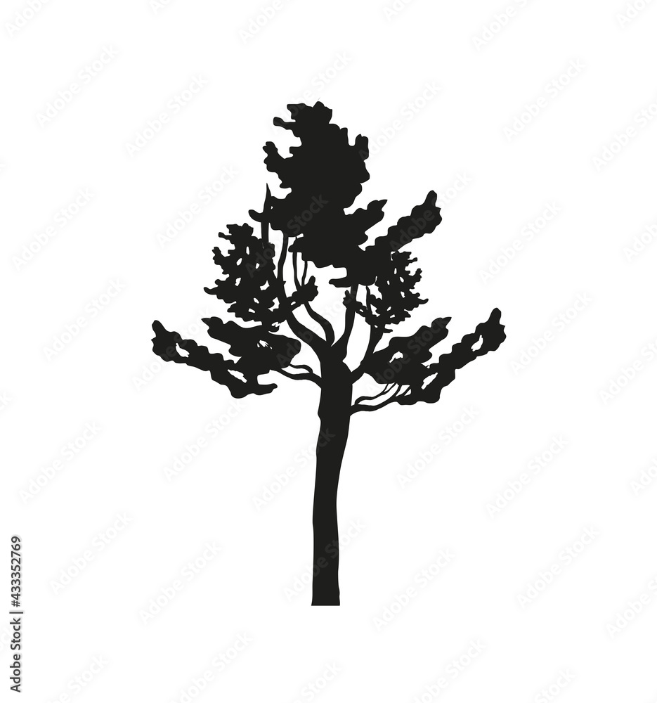Obraz premium silhouette tree branches