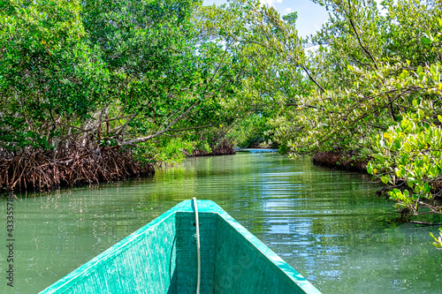 Boat in a water canal surrounded by red mangrove plants, Cuba © TOimages
